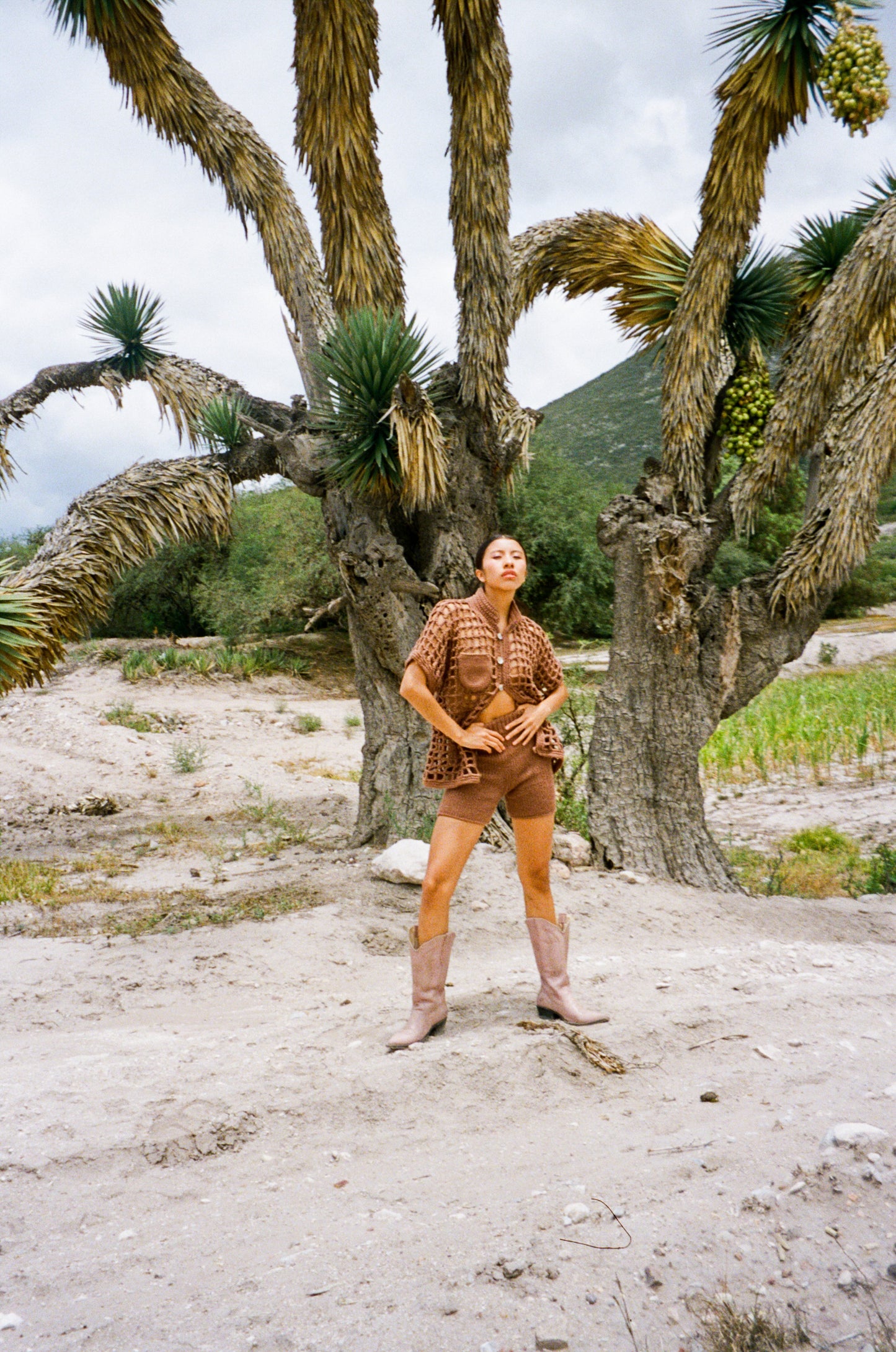 PAULO SHORT / TAWNY BROWN