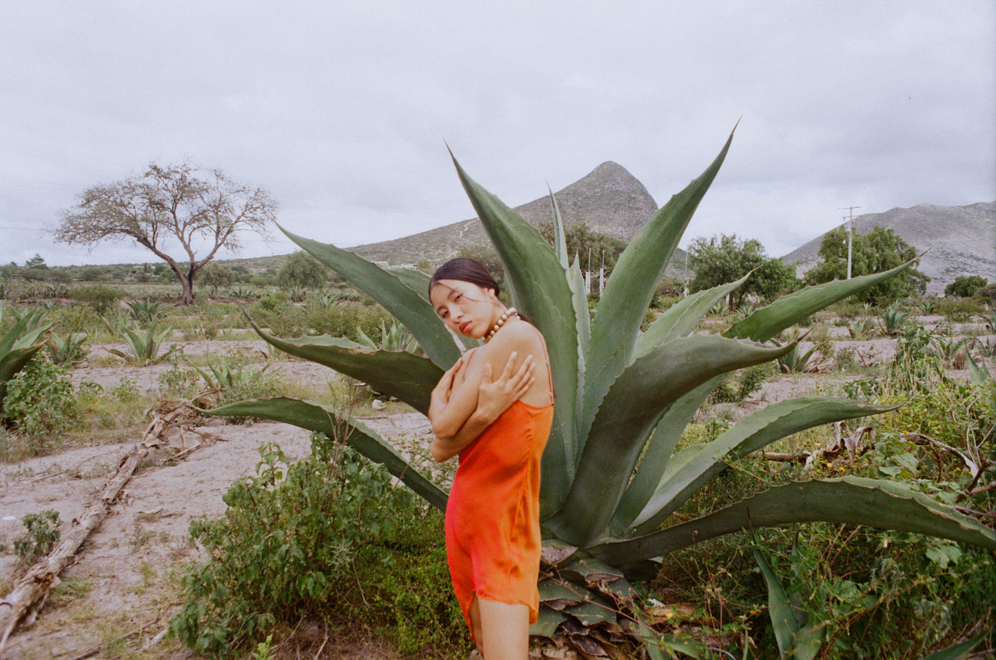 SALMA DRESS / ORANGE